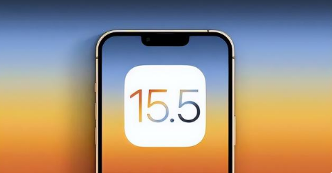 黄浦苹果手机维修分享iOS15.5 RC版升级建议 