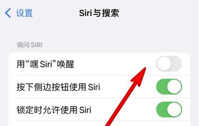 黄浦苹果13维修分享iPhone 13怎么唤醒 Siri  